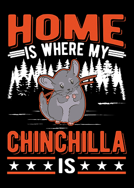 Chinchilla Lover