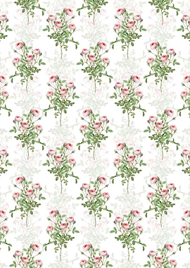 Burgundian Rose Pattern