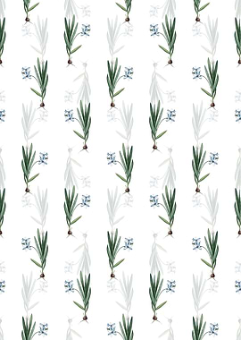 Gladiolus Plicatus Pattern