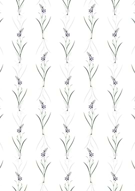 White Ixia Secunda Pattern
