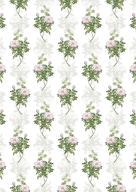 Ventenats Rose Pattern