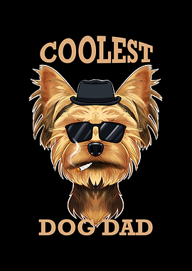 Dad Yorkshire Terrier