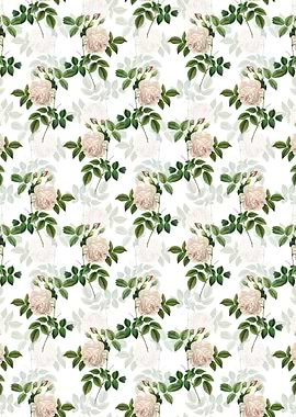 Floral Rosa Indica Pattern