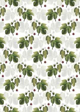 Briansole Figs Pattern