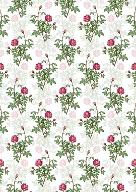 Floral Moss Rose Pattern