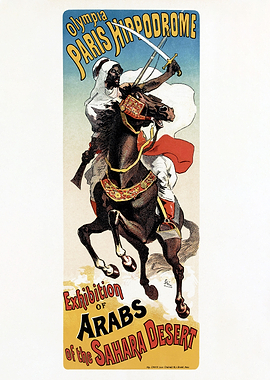 Arab riding black Stallion