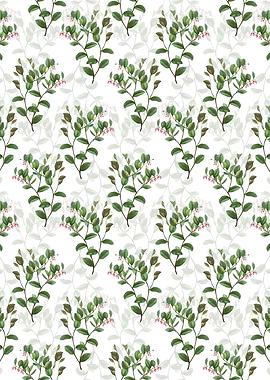 Andromeda Axillaris Bloom