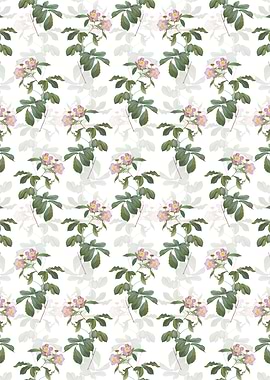 Pink Alpine Roses Pattern