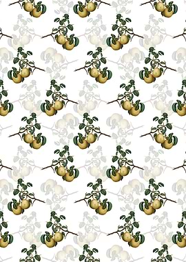 White Floral Pear Pattern