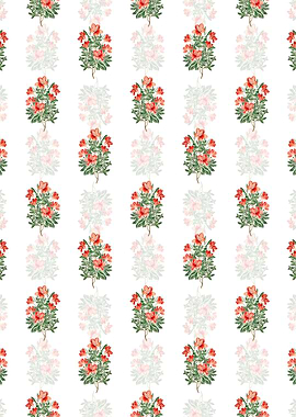 Brick Red Chinese Azalea