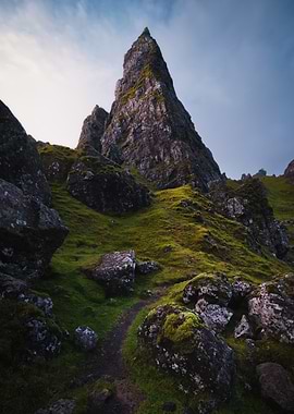 Rocks in the wilderness