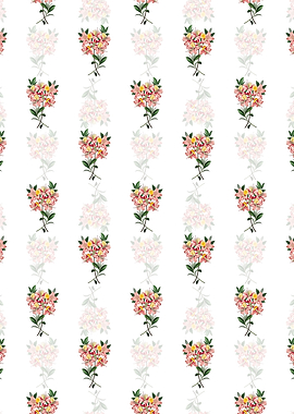 Changeable Pontic Azalea