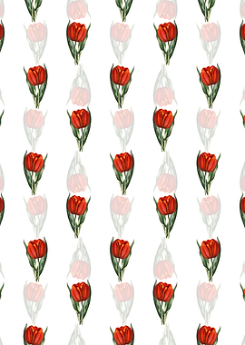 White Gesners Tulip Branch