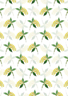 Dense Flowered Dendrobium