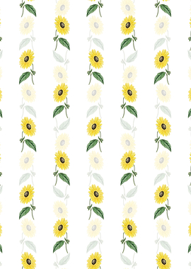 White California Sunflower