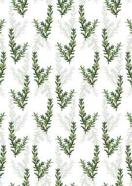 White Buxus Colchica Bush