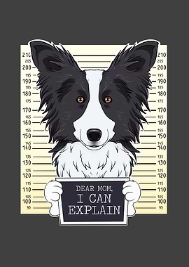 Border Collie Dog Dad