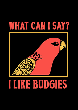 Budgie Budgeriga