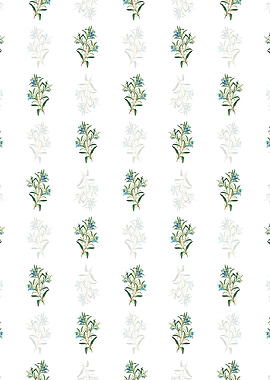 Blue Narrow Leaved Sollya