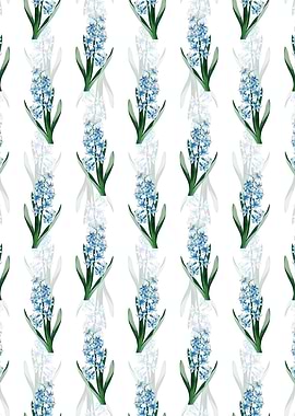 Dutch Hyacinth Pattern