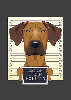 Rhodesian Ridgeback Dad