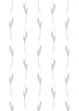 Siberian Solomons Seal