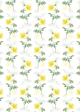 Floral Welsh Poppy Pattern