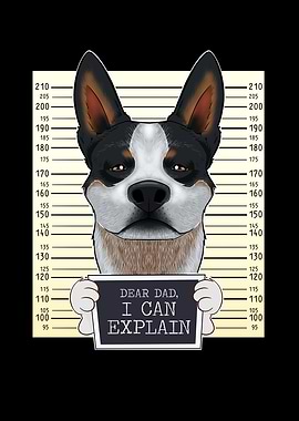 Australian Cattle Dog Dad