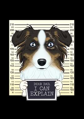 Australian Shepherd Dad