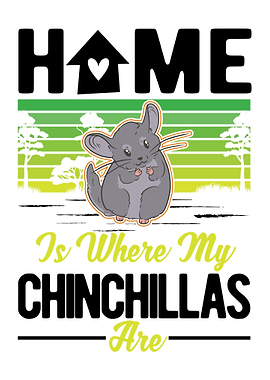 Chinchilla Lover