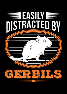 Gerbil Racing Rat