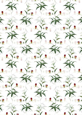 Floral Flame Lily Pattern