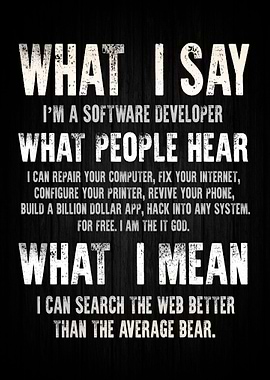 Software Developer