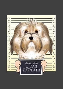 Havanese Dog Dad