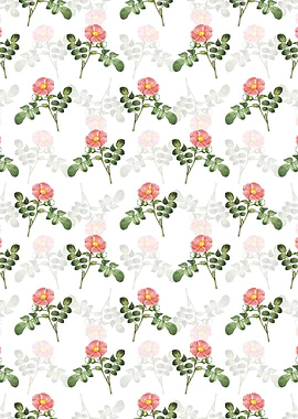 Japanese Rose Pattern