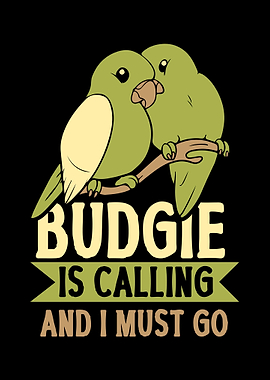 Budgie Budgeriga