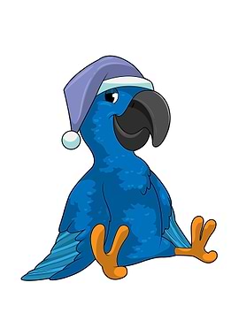 Parrot Sleeping Nightcap