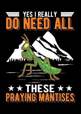 Praying Mantis