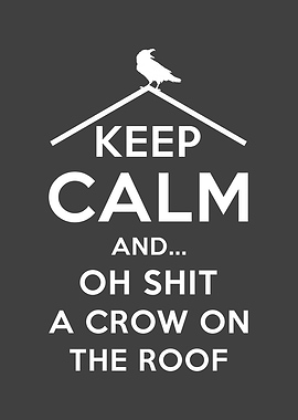 Superstition Raven Roof