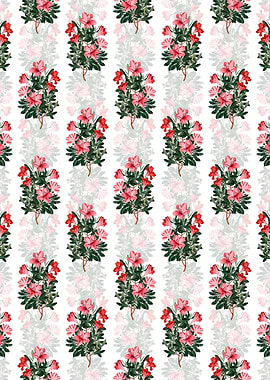 Brick Red Chinese Azalea