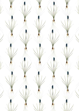 Grape Hyacinth Pattern
