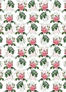 Pink Wild Rose Pattern
