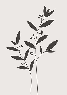 Tropical black leaf plant