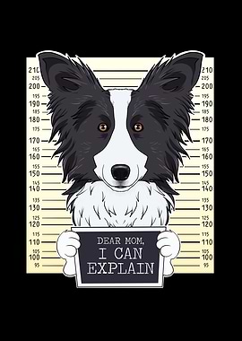 Border Collie Dog Mom