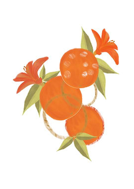 Orange illustration