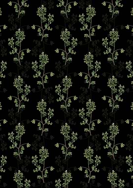 European Buckthorn Pattern
