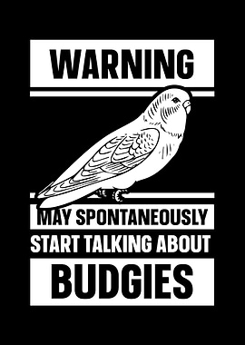 Budgie Budgeriga