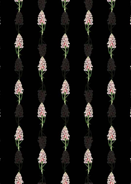 Leafy Spiked Orchis Flower