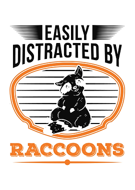 Raccoon Lover