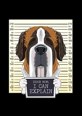 Saint Bernard Dog Mom